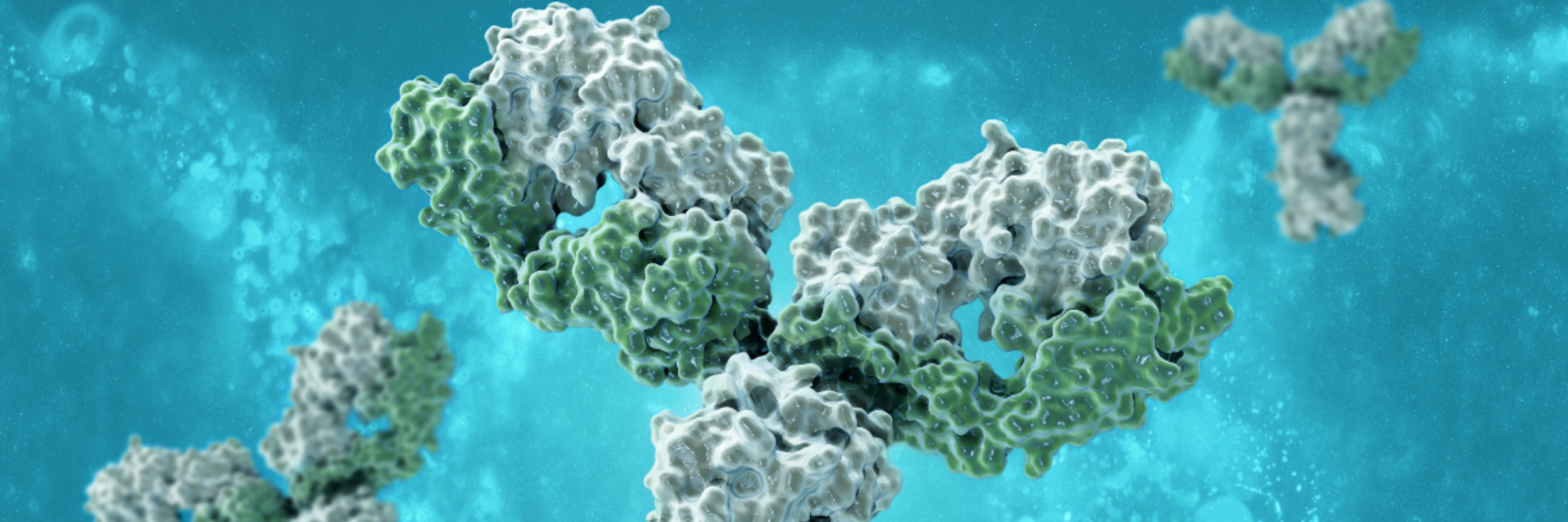AFMS Immunology