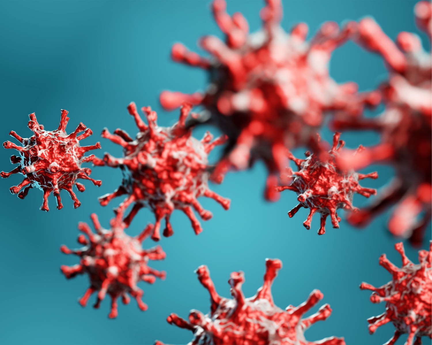 Immunology ELISA Infictious