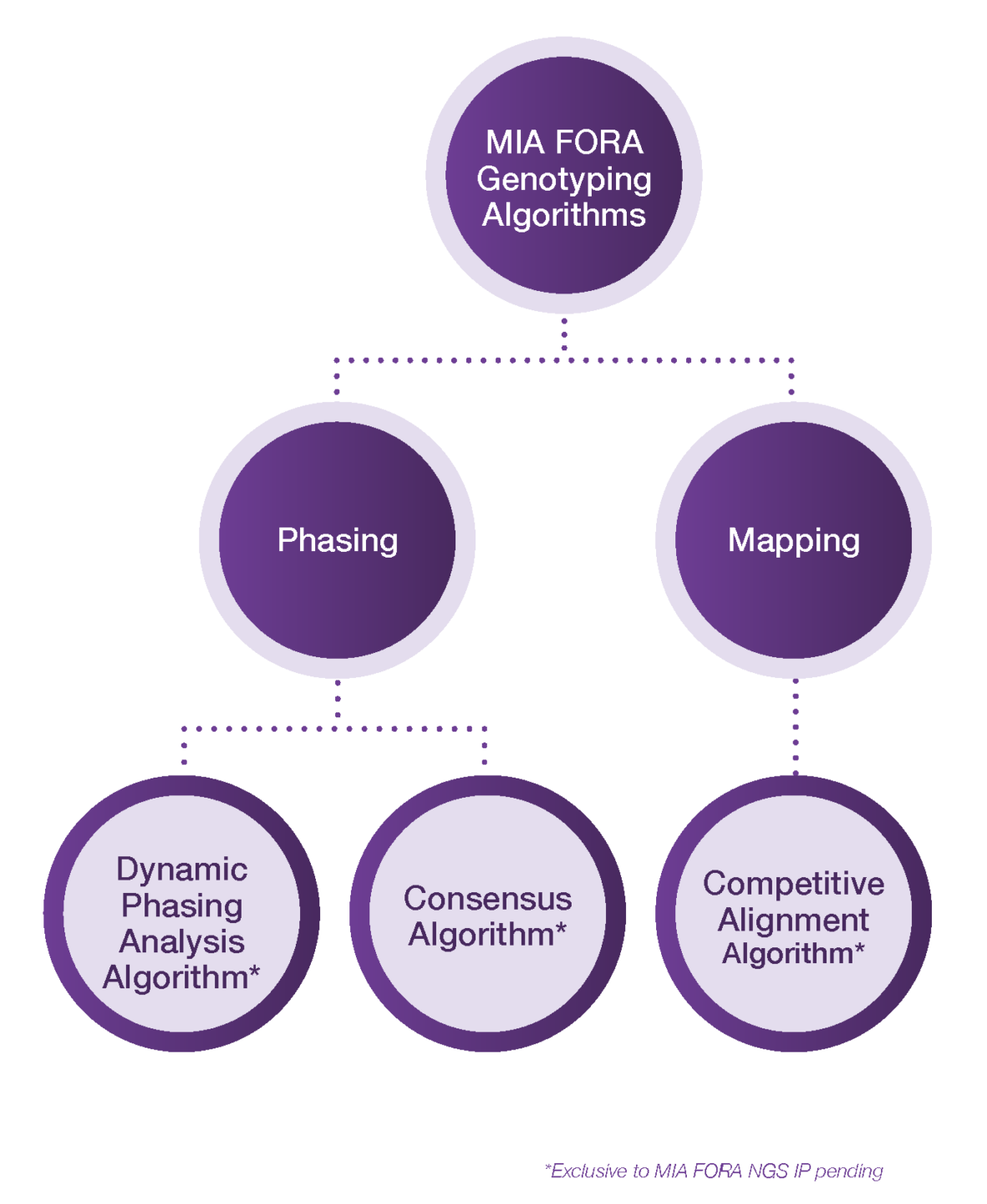 mia fora software image